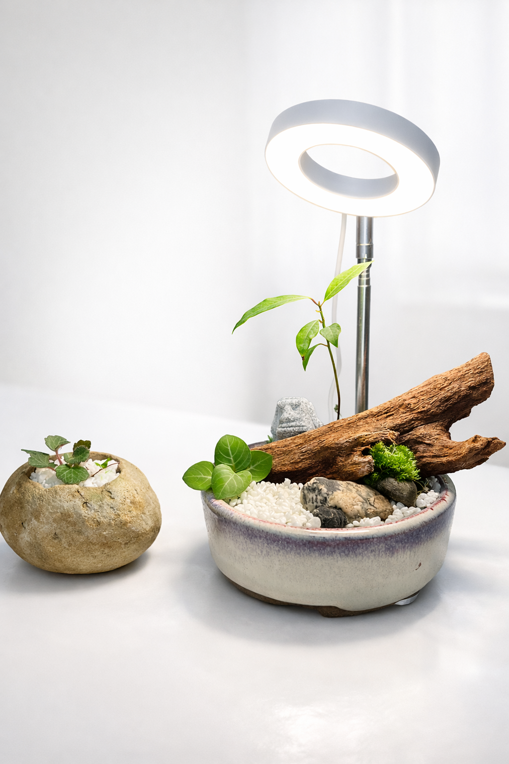 3/15~6/28  每週日 9:00~16:00
斗六班 限26人